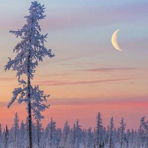 cc微博至尊版舞蹈
